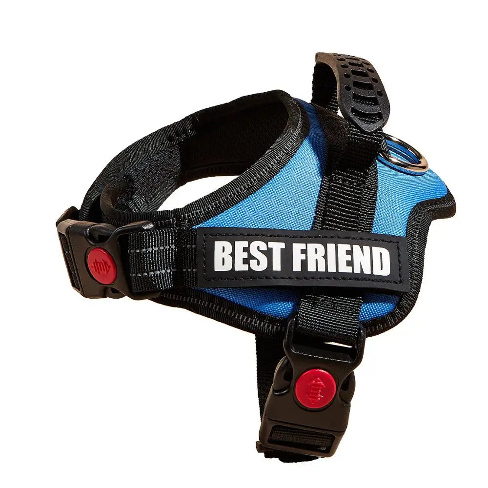 A black and blue adjustable pet walking harness for dogs.