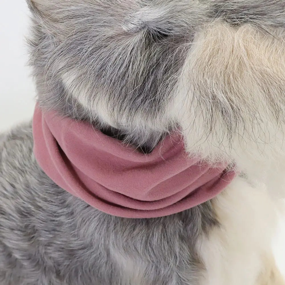 A pink soundproof pet ear muff is placed on the fur of a gray and white dog.