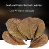 Dried natural palm kernel leaves used to lower pH and improve water quality in aquarium tanks