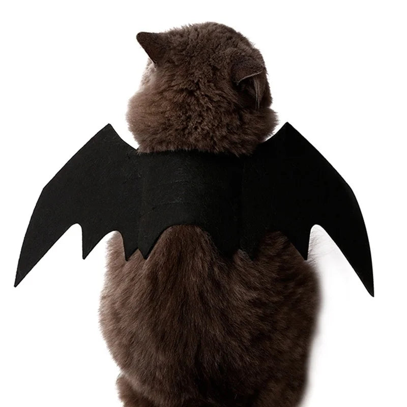 Un chat brun portant un costume d'ailes de chauve-souris noires.