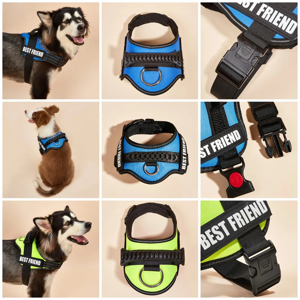 A collection of black and blue adjustable pet walking harnesses for dogs shown in various angles.