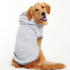 A golden retriever wearing a gray fleece hoodie while lying down.