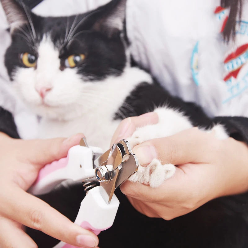 A person is using stainless steel pet nail clippers on a black and white cat's paw.