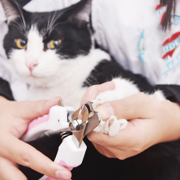 A person is using stainless steel pet nail clippers on a black and white cat's paw.