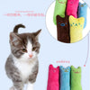 A fluffy gray and white kitten standing next to various colorful plush dog toys.
