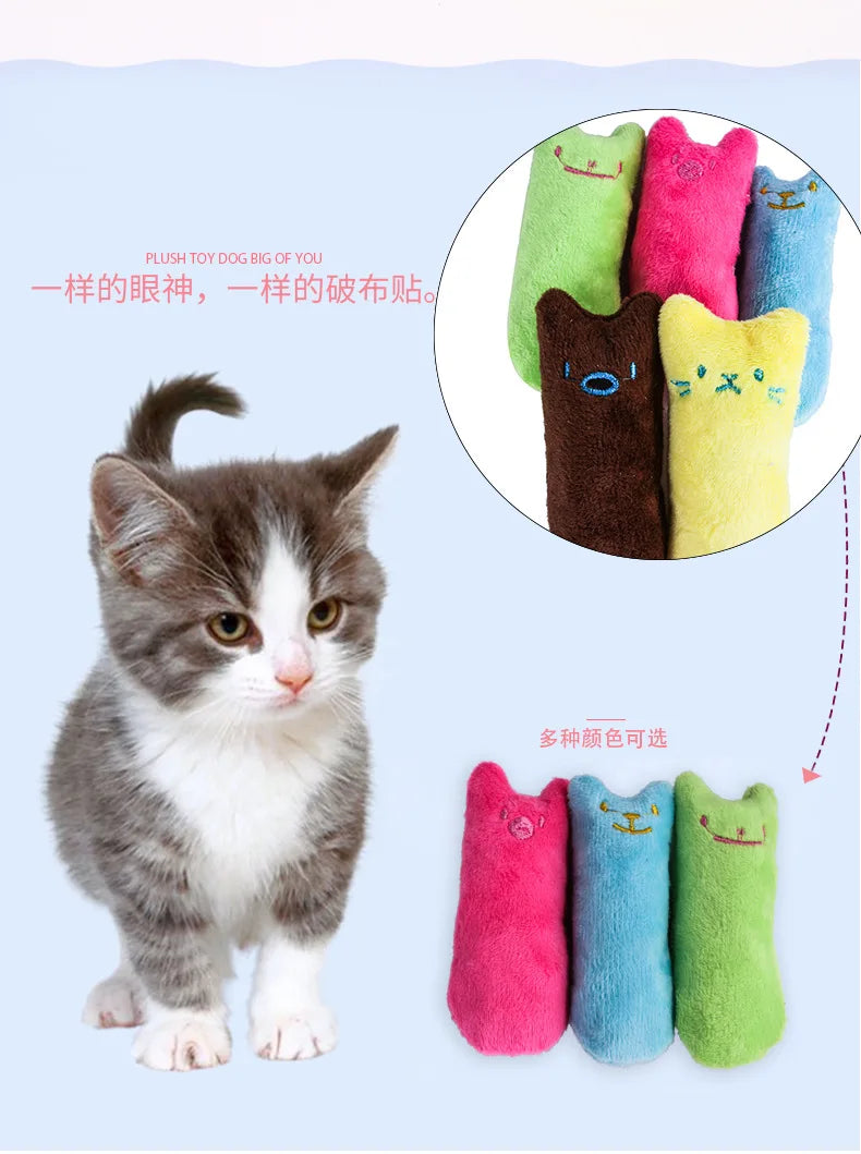 A fluffy gray and white kitten standing next to various colorful plush dog toys.