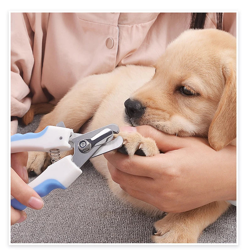 A person is using stainless steel pet nail clippers on a light-colored puppy's paw.