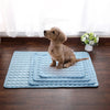A light brown dog sits on a blue cooling pet mat in front of a window with white flowers.