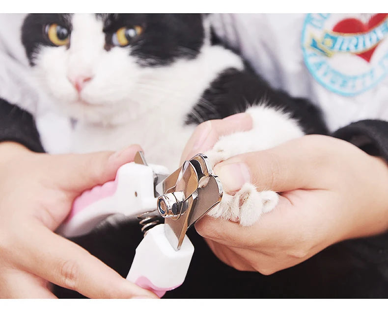 A person is using stainless steel pet nail clippers on a cat's paw.