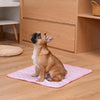 A fawn-colored dog is sitting on a pink cooling pet mat indoors.