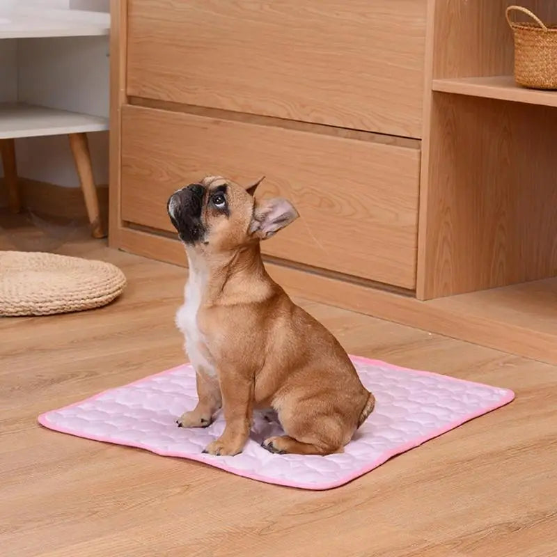 A fawn-colored dog is sitting on a pink cooling pet mat indoors.