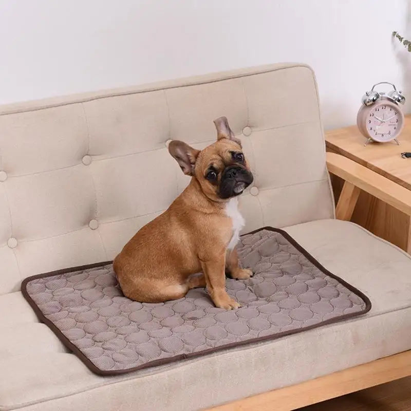 A fawn-colored French Bulldog sits on a gray cooling pet mat on a light beige sofa.