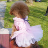A fluffy brown dog wearing a pink sequined dress with tulle layers sitting on a wooden surface.