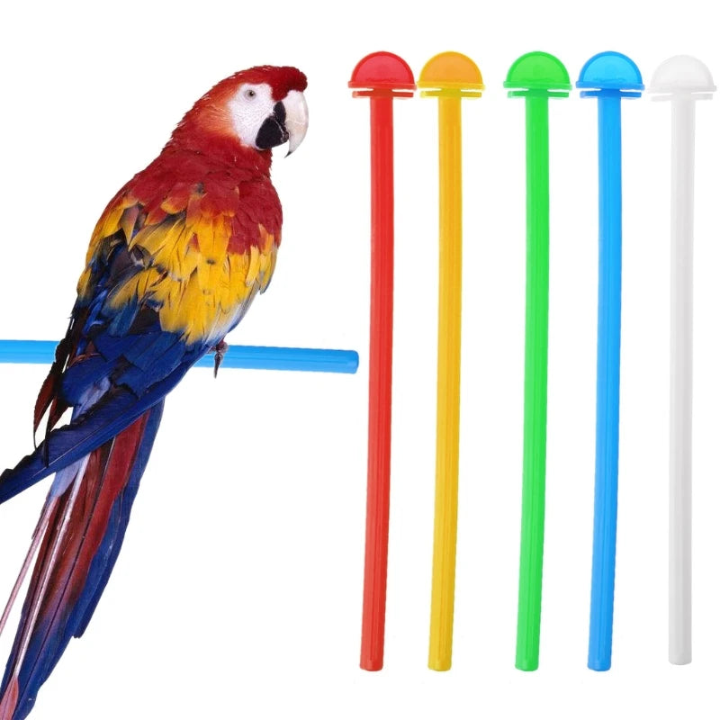 Five plastic bird perch stands in red, yellow, green, blue, and white for an aviary