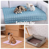 A blue cooling pet mat is shown with a dog and two cats resting on it, alongside a similar mat used for pets.