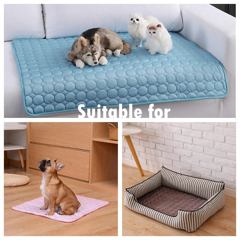 A blue cooling pet mat is shown with a dog and two cats resting on it, alongside a similar mat used for pets.