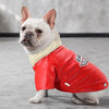 A white French Bulldog wearing a red PU leather dog jacket with a cream-colored collar.