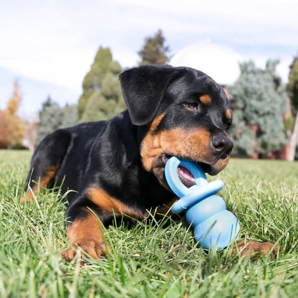 A black and tan puppy is lying on green grass with a blue KONG teething chew toy.