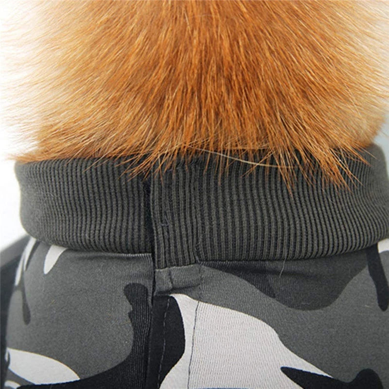 Back view of a breathable pet recovery suit for dogs and cats with orange fur and gray fabric.