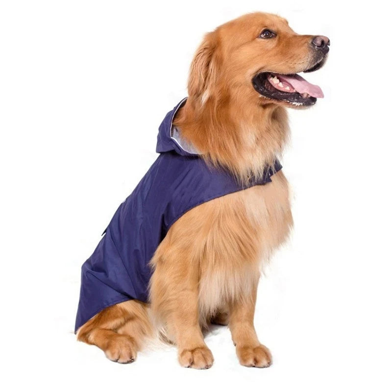 A golden retriever wearing a navy blue reflective waterproof dog raincoat.