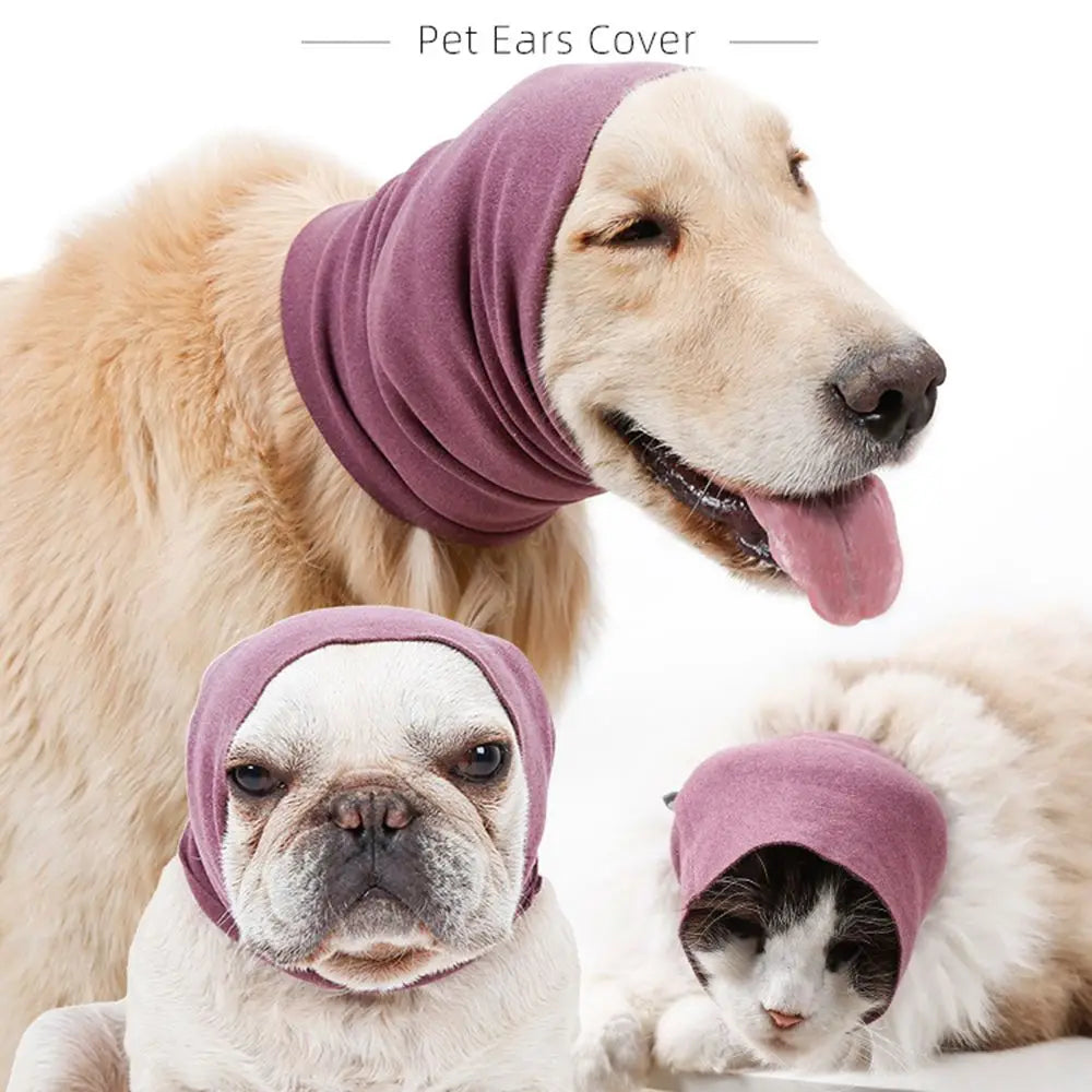A light-colored dog wearing a purple pet ear cover next to a pug and a cat wearing a matching ear cover.