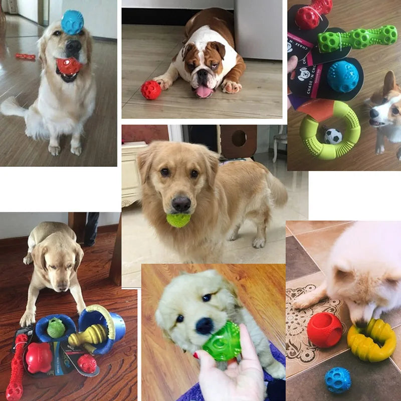 Colección de juguetes para perros que hacen ruido y rebotan, incluyendo una pelota azul, una pelota verde y un anillo amarill