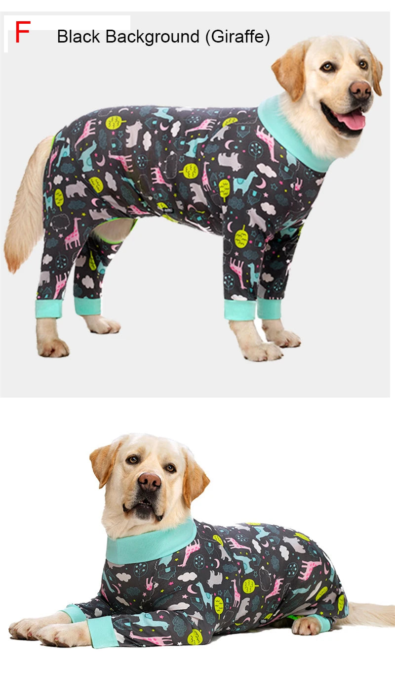 A golden retriever wearing a black patterned shirt and light blue collar, lying down.