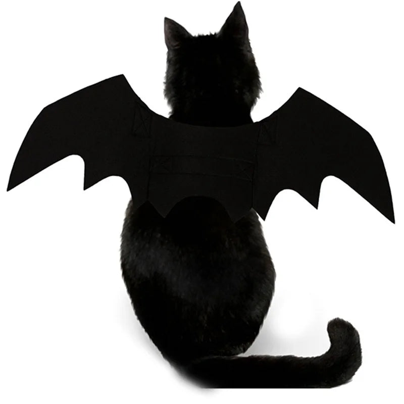 Un chat noir portant un costume à thème chauve-souris avec de grandes ailes noires.