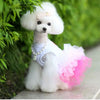 A fluffy white dog wearing an elegant pink and white spring dress sitting outdoors.