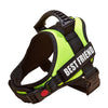 A black and neon yellow adjustable pet walking harness for dogs.