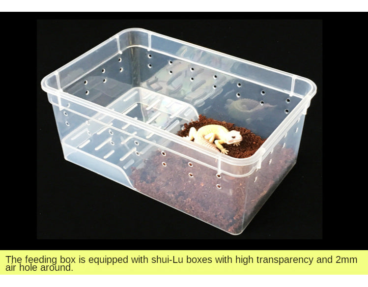 Klares Acryl-Futterkäfig für Reptilien mit shui-Lu Boxen, hoher Transparenz und 2mm Löchern.