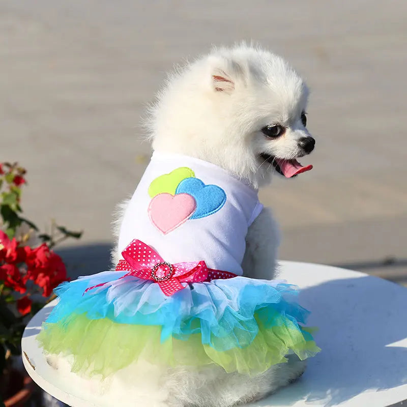 A fluffy white dog wearing an elegant spring pet dress with pink and blue floral accents.