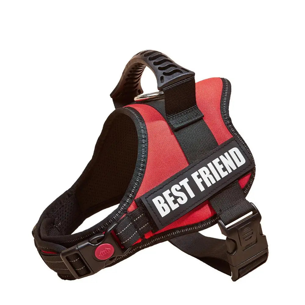 A red and black adjustable pet walking harness for dogs.