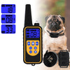 A black remote dog training collar with an LCD display showing channel numbers and a dog wearing the collar.