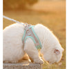 قطة بيضاء ترتدي حزامًا أزرق فاتح مستلقية على حافة حجر في الهواء الطلق.
