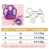 Purple butterfly pet harness set for dogs and cats with size chart and diagram