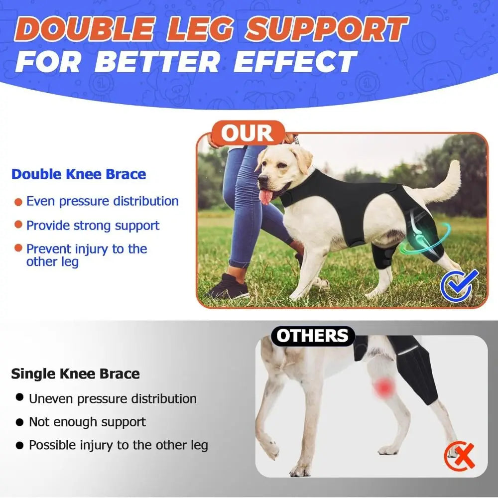 Image showing a double leg support knee brace for dogs, demonstrating pressure distribution and joint protection.