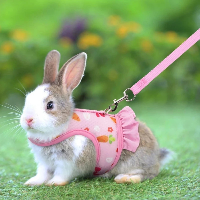 A small gray and white rabbit wearing a pink harness with a leash, sitting on green grass.
