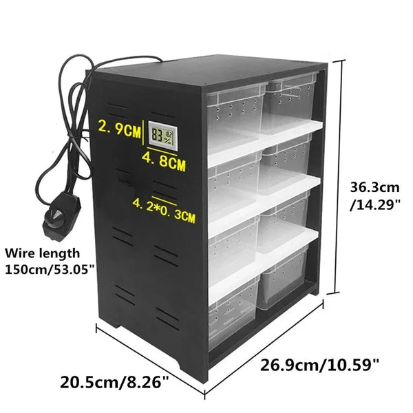 Black acrylic breeding tank with five compartments and a heating pad