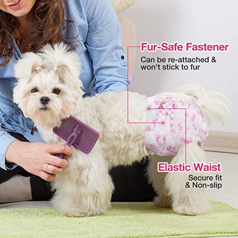 Flauschiger weißer Hund mit pinkem elastischen Brustgurt für eine sichere Passform.