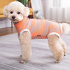 A fluffy light-colored dog wearing an orange and white striped cotton recovery suit.