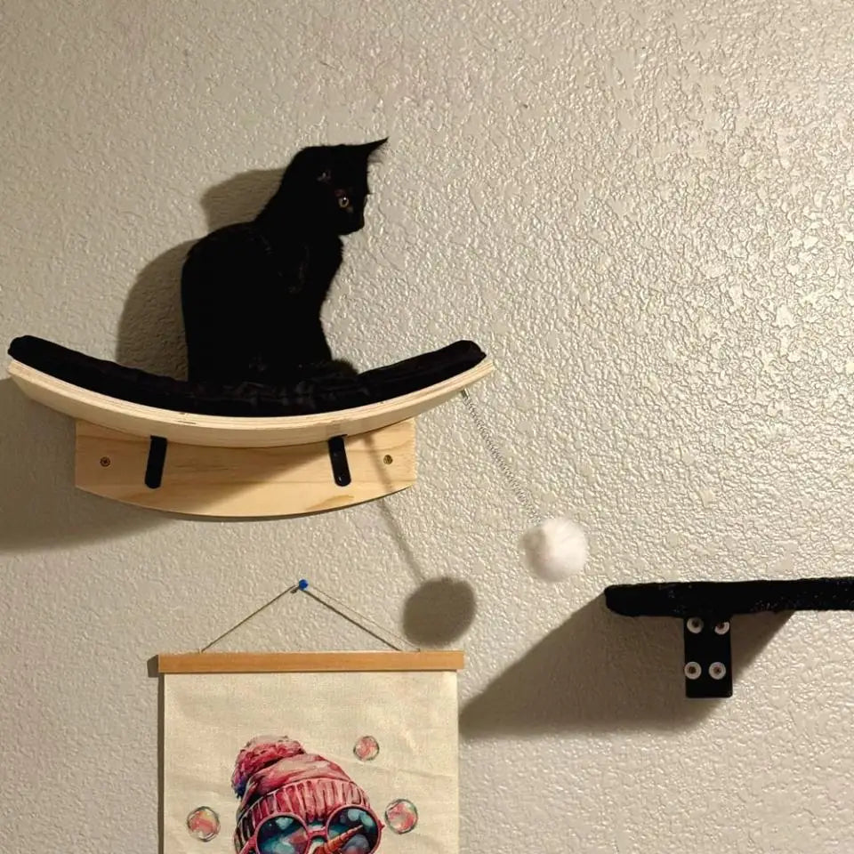 A black cat is perched on a wall-mounted cat tree with scratching stairs and hammock.