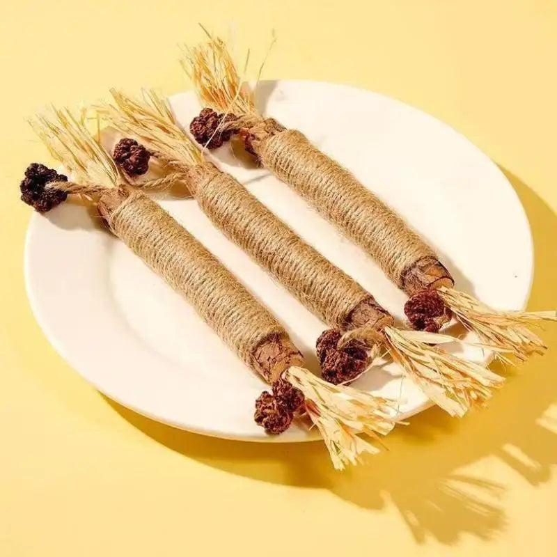 A plate holds several natural wooden teething sticks for cats with straw-like ends.