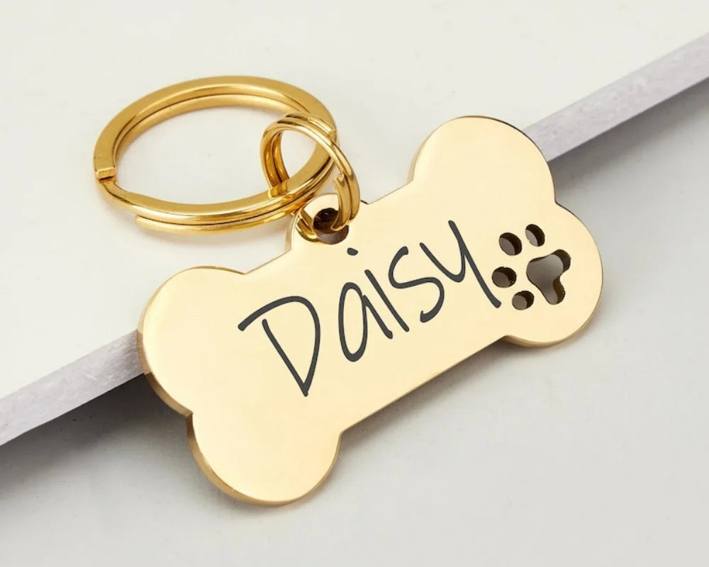 A gold-colored bone-shaped stainless steel dog ID tag engraved with the name Daisy