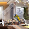 Nourrice pour oiseaux transparente avec ventouses, tenant un petit oiseau bleu et jaune parmi des graines.