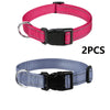 Two nylon dog collars, one pink and one blue, with buckles.