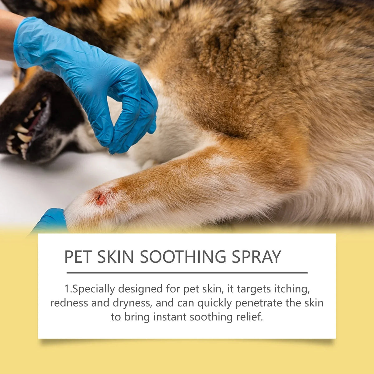 Eine blau gepflegte Hand trägt ein Tier-Hautberuhigendes Spray auf das Bein eines Hundes.