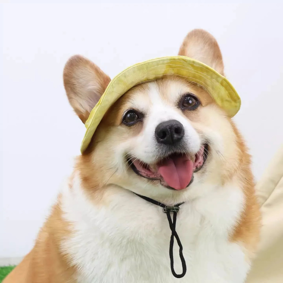 A happy Shiba Inu dog wearing a light yellow sun hat with ear holes.