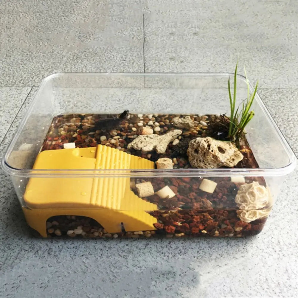 A clear plastic container holds a reptile basking platform with yellow suction cups and various rocks and food items.