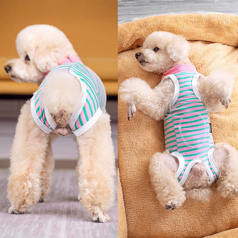 A light tan dog wearing a striped cotton recovery suit with anti-lick protection.
